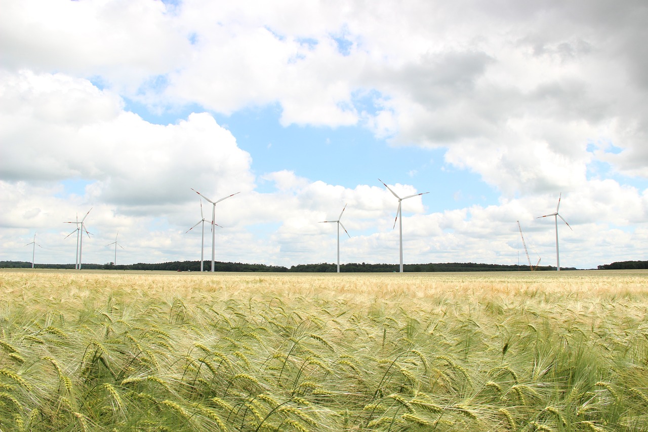 wind-turbines-4530053_1280.jpg